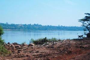 伐採道路とMekong river